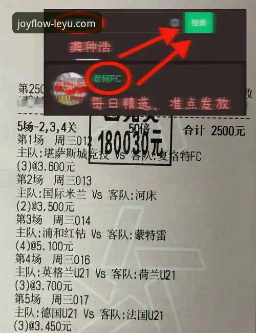 阿根廷新星重伤无缘世界杯，乐鱼体育平台如何帮你深度解读赛事影响？